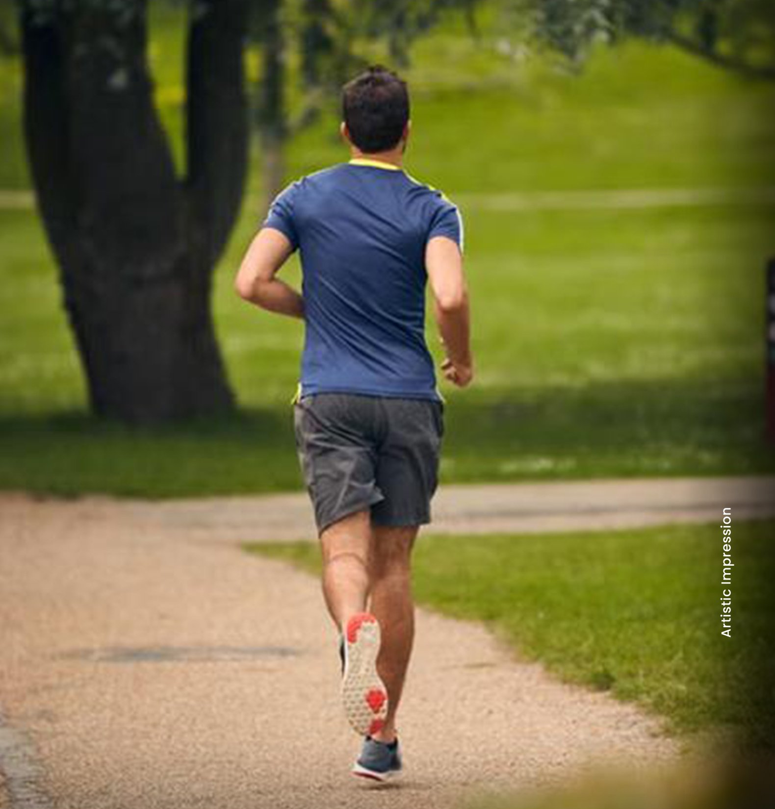 Jogging and walking tracks.