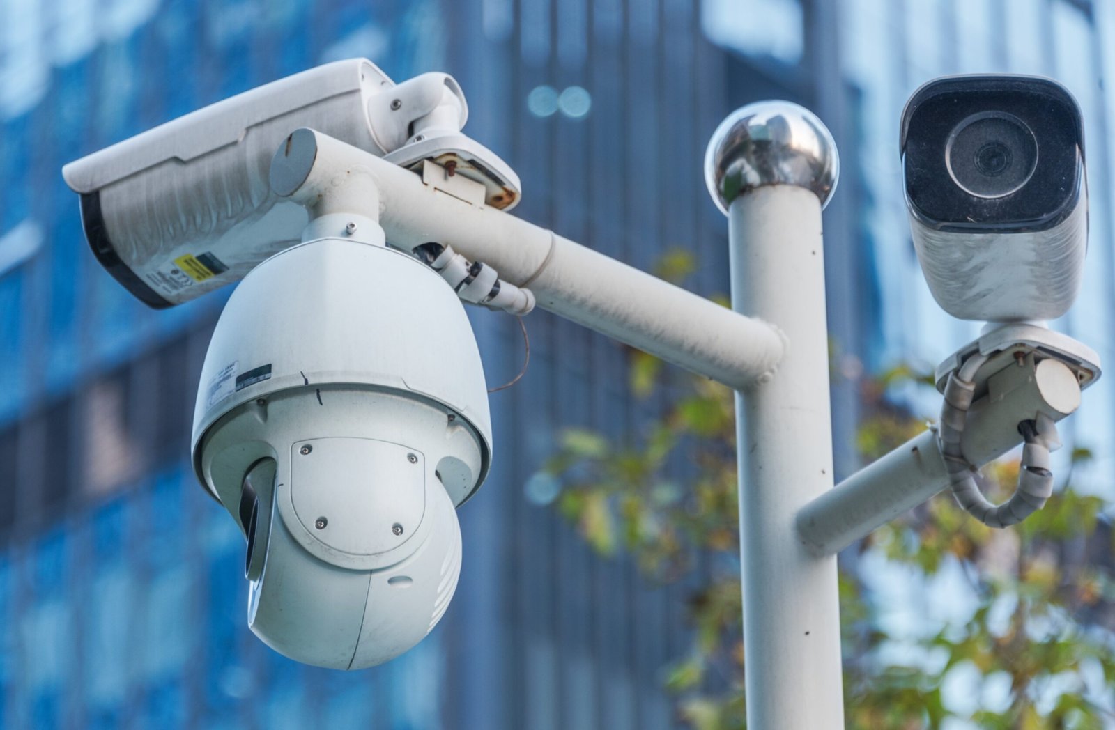 Landscaped gardens and green surroundings